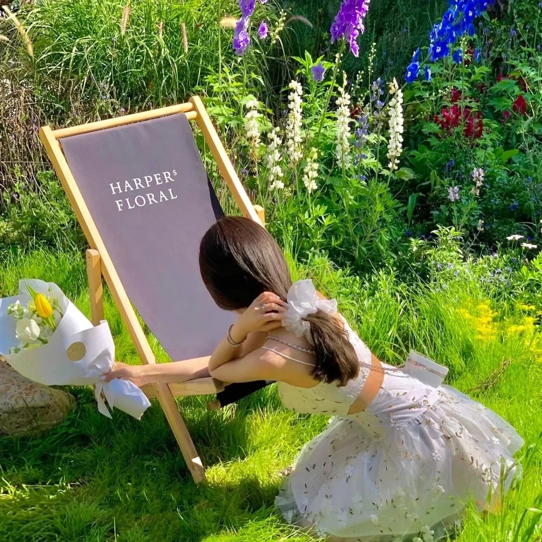 谋尽君心渡我情